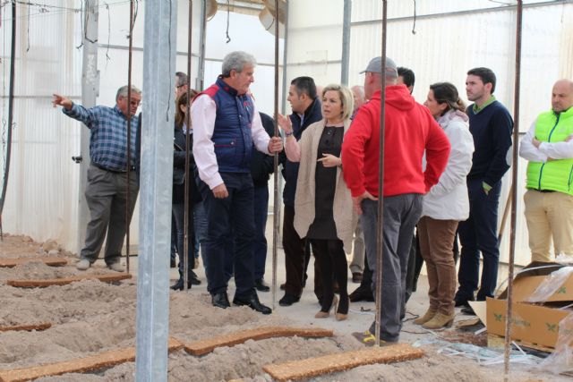 Martínez-Cachá señala que para que nuestros agricultores sean más competitivos hay que seguir ofreciéndoles nuevas alternativas - 1, Foto 1