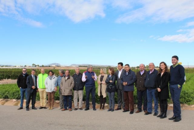 Martínez-Cachá señala que para que nuestros agricultores sean más competitivos hay que seguir ofreciéndoles nuevas alternativas - 2, Foto 2