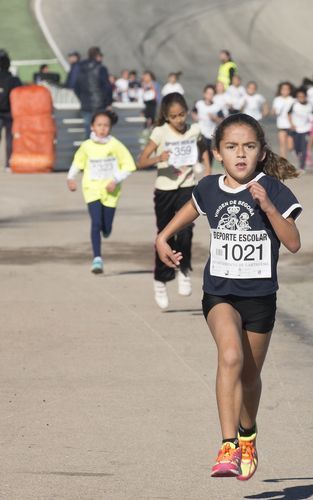 El circuito de Velocidad acoge el jueves una nueva edición del Cross Escolar - 2, Foto 2