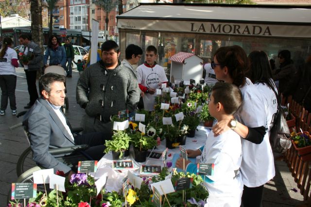 Los alumnos del Colegio de Educación Especial Eusebio Martínez y su excelente Mercadillo de Plantas - 1, Foto 1