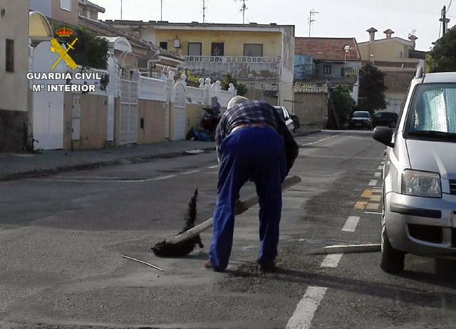 La Guardia Civil esclarece un delito de maltrato animal en el que un gato fue apaleado en plena calle - 1, Foto 1