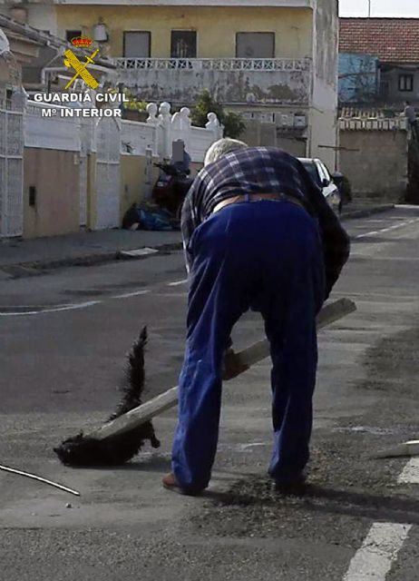 La Guardia Civil esclarece un delito de maltrato animal en el que un gato fue apaleado en plena calle - 2, Foto 2