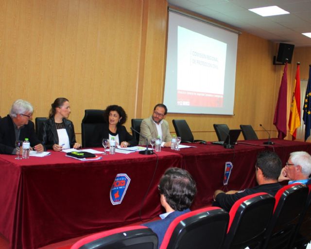 La Comunidad ha revisado en 2015 sus planes de Protección Civil ante terremotos, incendios forestales y meteorología adversa - 1, Foto 1