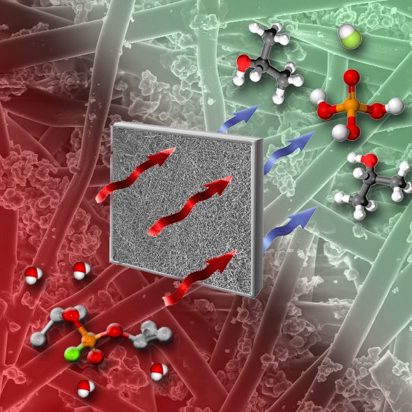 El IMIDA y la Universidad de Granada desarrollan nuevos filtros que captan y detoxifican diferentes tipos de gases nocivos - 1, Foto 1