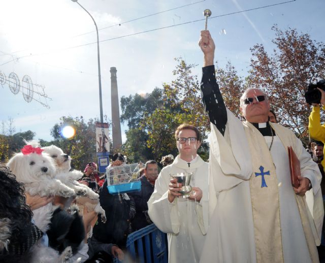 El Alcalde acude a su cita con los vecinos de San Antón en la tradicional bendición de animales - 1, Foto 1