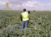 La Guardia Civil detiene a diez personas por robos en fincas agrcolas y viviendas rurales