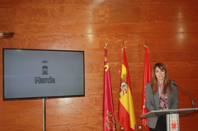 La Junta de Gobierno aprueba la colaboración con los  ´observadores´ del Plan Director de San Esteban - 1, Foto 1