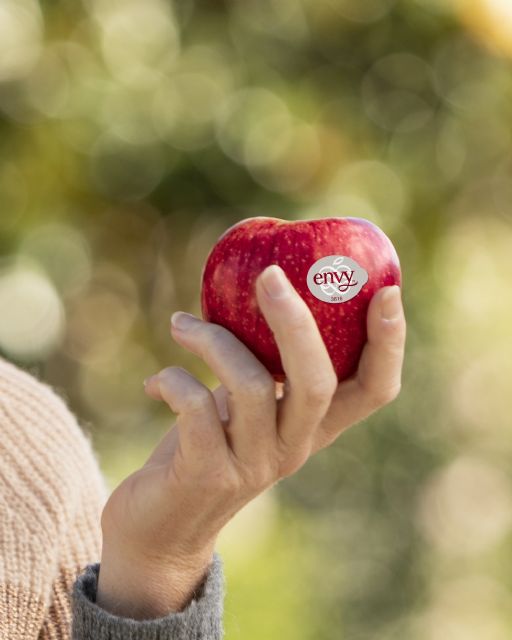 Temporada muy positiva y dinámica para manzanas BlueWhale® en España - 2, Foto 2