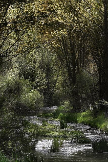 Especial día del padre. Naturaleza y familia para celebrar el día del padre - 2, Foto 2