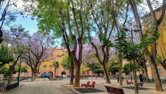 La Asociación de Vecinos de Vistabella pide una reunión con el alcalde de Murcia - 1, Foto 1