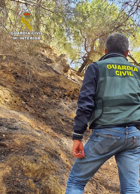 La Guardia Civil investiga a dos jvenes por originar un incendio forestal, Foto 1