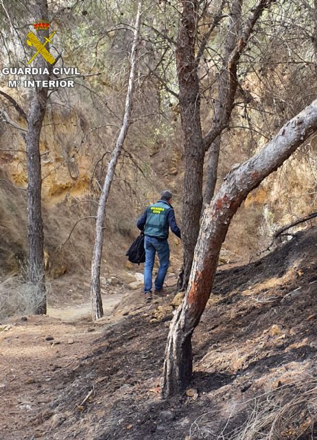 La Guardia Civil investiga a dos jvenes por originar un incendio forestal, Foto 2