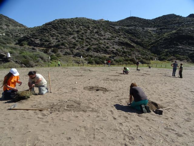 ANSE y Naturactúa plantan vegetación autóctona en las playas roturadas en Calnegre (Lorca) - 1, Foto 1