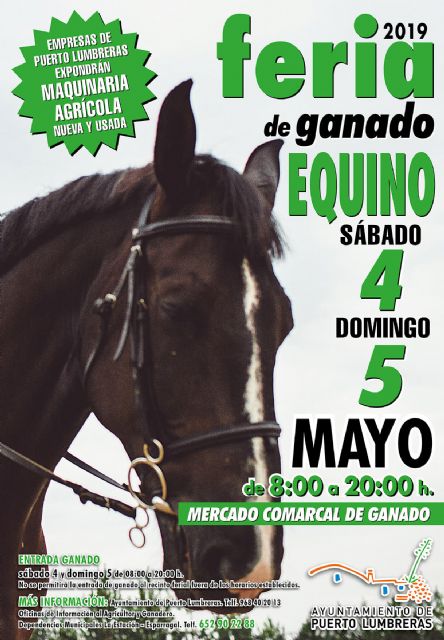 Vuelve la Feria de Ganado Equino a Puerto Lumbreras - 1, Foto 1