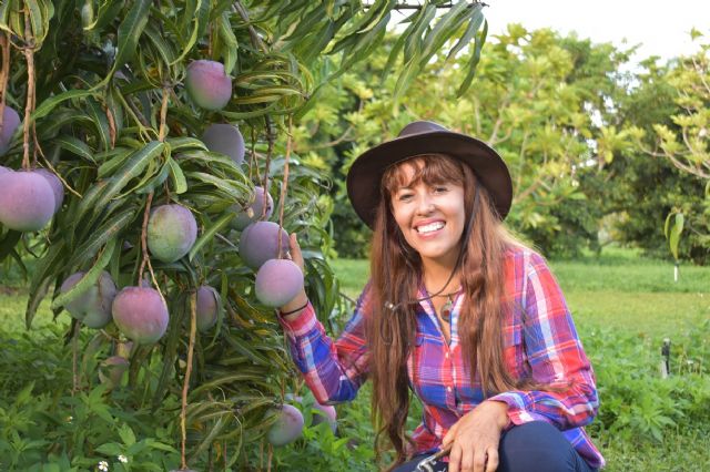 Investigación sobre nuevas variedades de mangos para determinar potencial exportador - 1, Foto 1