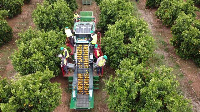 El Grupo Operativo CITRUSTECH logra hasta un 35% de ahorro en costes de producción con sus prototipos de recolección en cítricos - 2, Foto 2