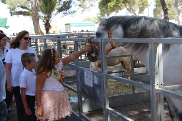 San Pedro celebra la CCXXI Real Feria de Ganado - 2, Foto 2