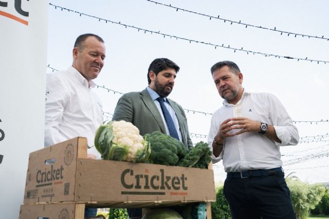 Pablo González se incorpora a la familia Cricket - 4, Foto 4