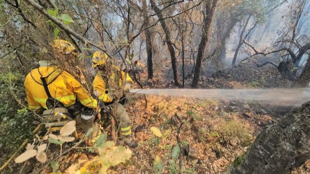 Regresa a la Región el dispositivo del Plan Infomur que ha colaborado en la extinción del incendio de la Vall D’Uixó Regresa a la Región el dispositivo del Plan Infomur que ha colaborado en la extinción del incendio de la Vall D’Uixó