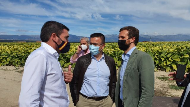 Luengo participa en encuentro de trabajo con Pablo Casado en defensa de la PAC - 1, Foto 1