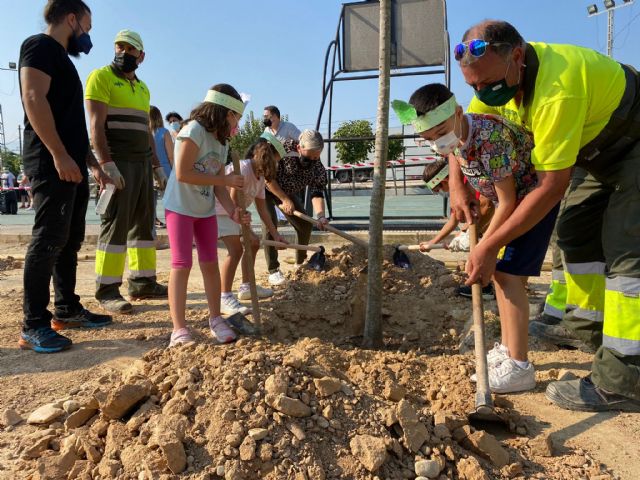 El Ayuntamiento de Murcia plantará más de 12.500 árboles en su nueva apuesta por renaturalizar el municipio y hacerlo más verde - 2, Foto 2