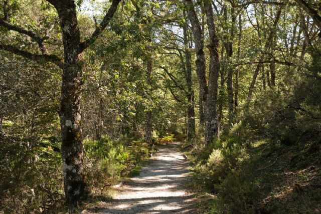 7 destinos para viajar en otoño que no te puedes perder (y disfrutar aún más si vas en camper) - 1, Foto 1