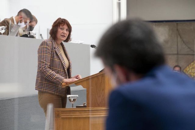 María Marín: El cambio exprés del Reglamento y las ayudas sociales al consejero Luengo son una prueba irrefutable de la podredumbre del PP - 1, Foto 1