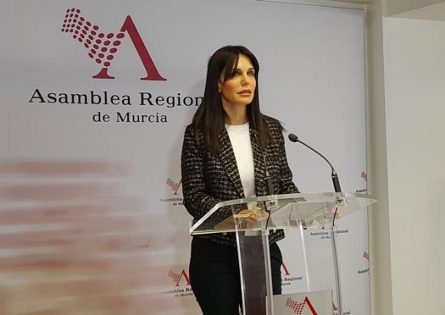 María Eugenia Sánchez (VOX) sobre el presupuesto de Sanidad: “No se trata de gastar más, sino de gastar mejor” - 1, Foto 1