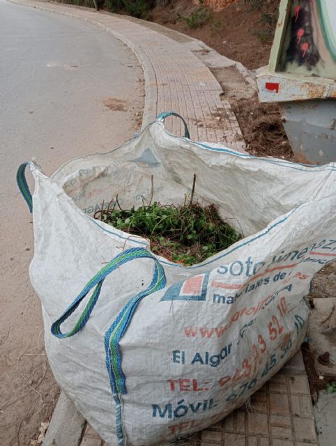 La banderita española amenaza la biodiversidad - 4, Foto 4