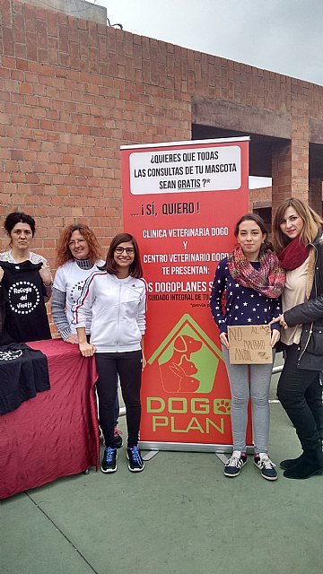 El Colegio Reina Sofía participó en la carrera solidaria a beneficio de la Asociación Refugio del Viento, Foto 6