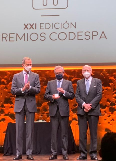 Fundación Naturgy, premiada en los XXI Premios Codespa por sus programas sociales de lucha contra la vulnerabilidad energética - 2, Foto 2