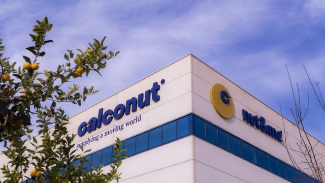 Calconut crece un 19% y alcanza los 153M€ de facturación en 2021 - 1, Foto 1