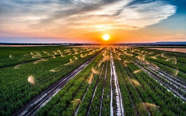 El CTNC prolonga el ciclo de vida de las aguas residuales procedentes de la industria alimentaria - 2, Foto 2