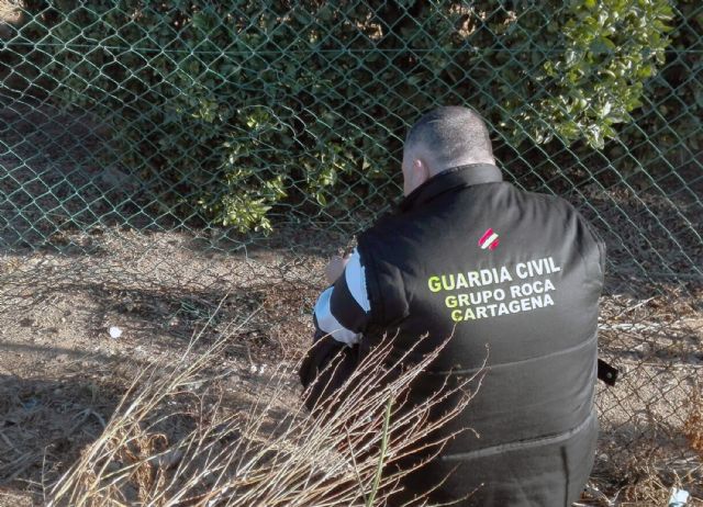 La Guardia Civil arresta a ocho personas por robos y daños en explotaciones agrícolas y ganaderas - 1, Foto 1