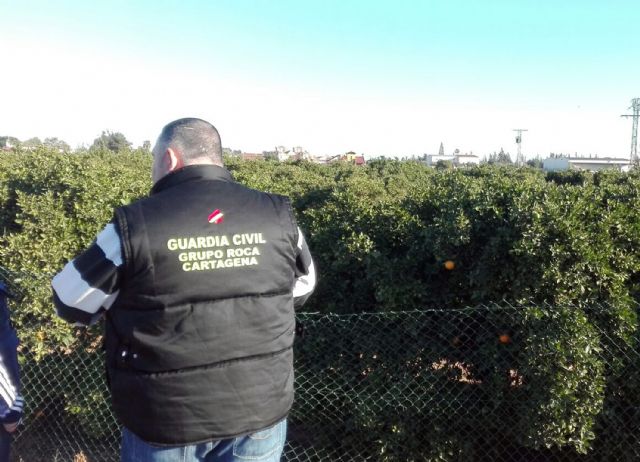 La Guardia Civil arresta a ocho personas por robos y daños en explotaciones agrícolas y ganaderas - 2, Foto 2