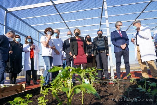 El Ayuntamiento pone a disposición de Salud la red de intervención comunitaria para prevenir y detectar problemas de salud mental en jóvenes - 1, Foto 1