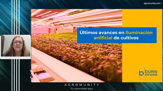 Los cultivos emergentes bajo iluminación artificial logran un rendimiento de producción de hasta un 60% más - 1, Foto 1