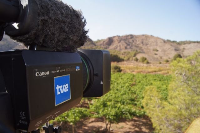 Aprueban la adhesión de Totana a la Film Commission de la Región de Murcia, Foto 2