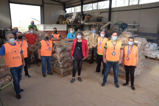 La UPCT dona al Banco de Alimentos los 16.000 kilos de patatas de un ensayo de un proyecto europeo - 1, Foto 1