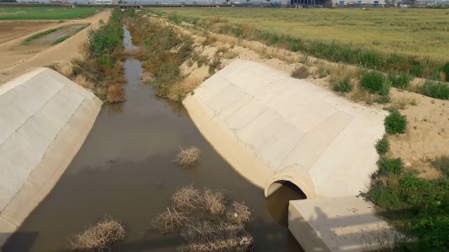 La falta de mantenimiento del canal de evacuación de la rambla de Biznaga en los últimos dos años provoca la obstrucción del cauce entre Purias y Campillo - 3, Foto 3