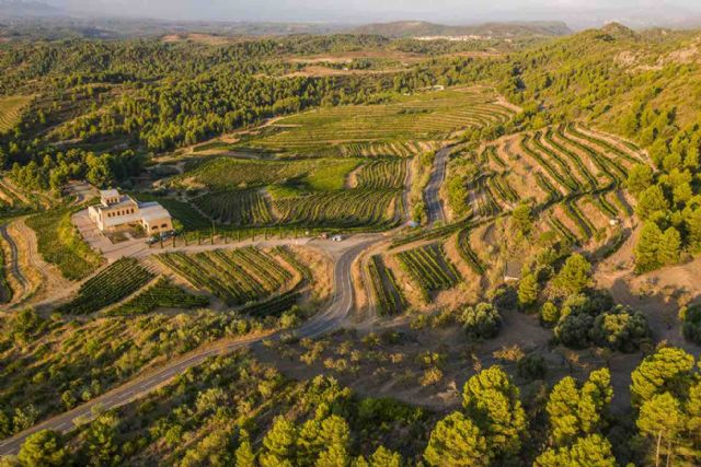 Vinos iberian, una inmersión por las regiones vinícolas históricas de ribera del duero, priorat y toro - 3, Foto 3