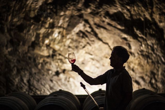 Vinos iberian, una inmersión por las regiones vinícolas históricas de ribera del duero, priorat y toro - 4, Foto 4