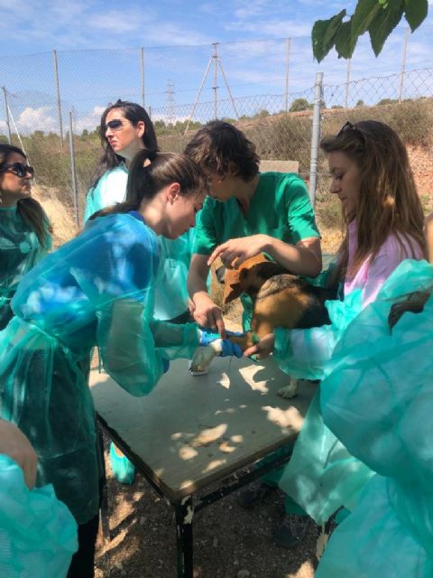 Curso sobre el transporte de animales vivos en frontera - 1, Foto 1