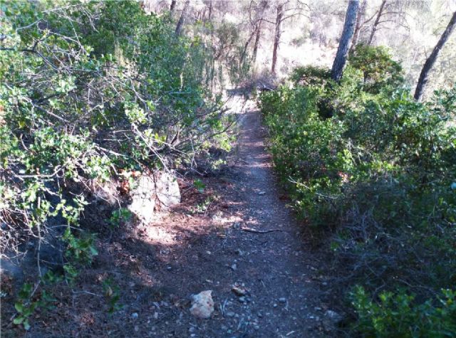 Adecuarán los senderos históricos de Solana de las Cuevas y Umbría del Río en el Parque Regional de Sierra Espuña - 1, Foto 1