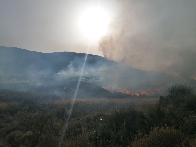 Incendio forestal en Fuente Álamo - 1, Foto 1