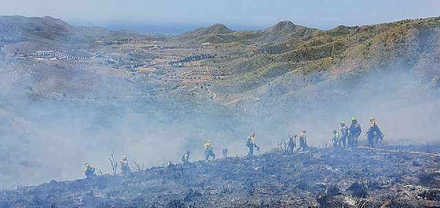 Incendio forestal en Fuente Álamo - 3, Foto 3