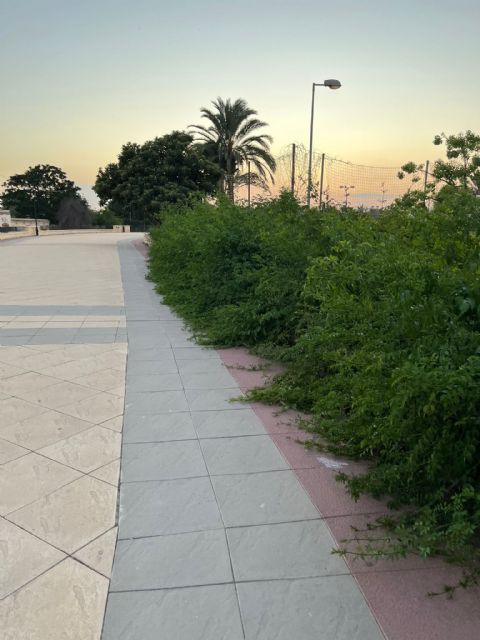 Fructuoso: Ballesta debería acabar con el Plan Postureo y ponerse a trabajar de verdad para acabar, entre otros, con la dejadez y suciedad que presenta el Paseo del Malecón - 1, Foto 1