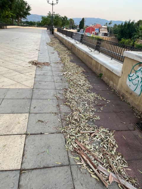 Fructuoso: Ballesta debería acabar con el Plan Postureo y ponerse a trabajar de verdad para acabar, entre otros, con la dejadez y suciedad que presenta el Paseo del Malecón - 4, Foto 4