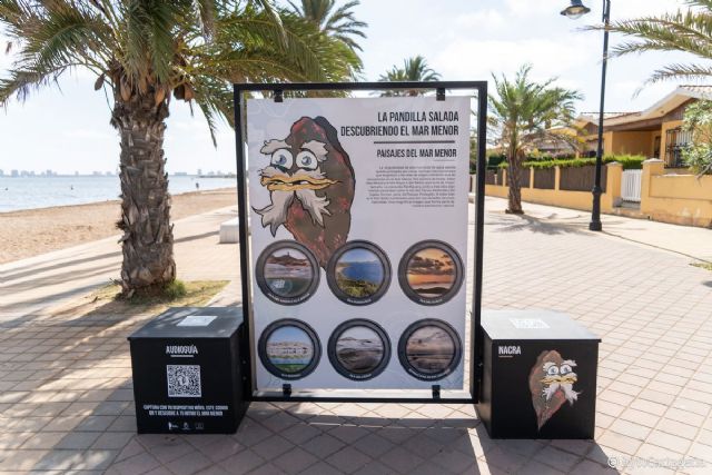 ´La pandilla salada, descubriendo el Mar Menor´ se convierte en la exposición más visitada del verano - 1, Foto 1