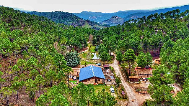 Fot. Zafiro Lagunazo, Foto 1